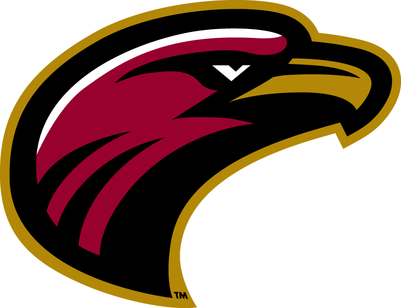 Louisiana-Monroe Warhawks 2006-Pres Alternate Logo t shirts DIY iron ons v7